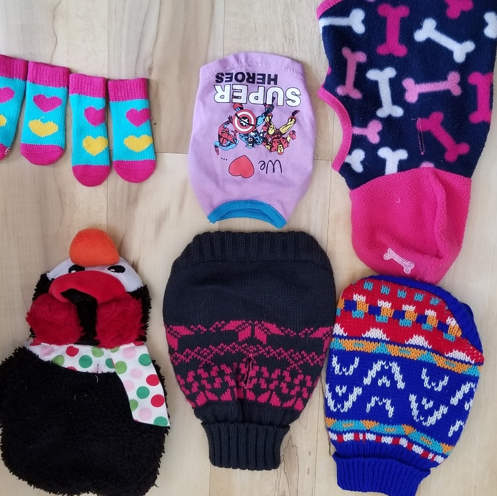 XS dog clothes